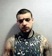 U.S. Marshalls and White County Deputy Arrest Dakota Goodwin