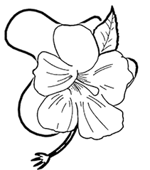 Now that we are finally kicking off summer, it's time to think of luau parties! Luau Coloring Pages