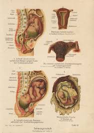 Pin On Nursing