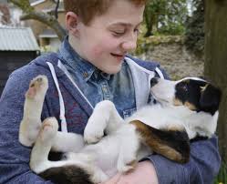 BBC Two is bringing us adorable puppies