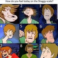 Dopl3r Com Memes How Do You Feel Today On The Shaggy Scale 4 8
