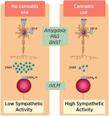 Image result for Chronic Functional Vomiting
