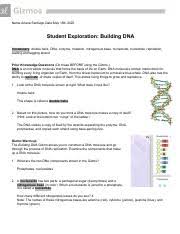 11 hr diagram worksheet answer key : Building Dna Gizmo Docx Assignment A2 3 Building Dna Log Into Www Learnalberta Ca And Search For Dna Gizmo To Begin This Assignment Gizmo Warm Up The Course Hero