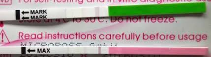 Wann sollte ich den ovulationstest machen? Ovulationstest Eisprung Fruchtbarste Tage Bestimmen