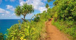 Check spelling or type a new query. 25 Best Places To Visit In Hawaii