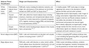 Converting fat grams to calories 1. Characterization And Treatment Of Inflammation And Insulin Resistance Dmso
