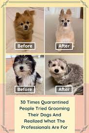 Pin On About Everything