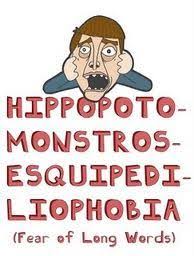 Phobias are irrational fears, so we tend to make fun of people who have them. Top 10 Weirdest Phobias List List Crux Longest Word Words Story House