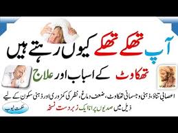 Shamil kr k din mai do bar istemaal karen. Pat Ma Gas Ka Ilaj Pait Kam Karne Ke Totkay In Urdu Pait Chota Karnay Ka Desi Tarika