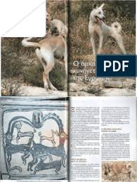 Τρώγονται τηγανισμένα και πολλοί τα θεωρούν εκλεκτό μεζέ. Krhtikos Ixnhlaths