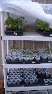 I wanted to share with you a project i've been using for growing cutting and seedlings in these cold winter months! Cheap Mini Greenhouse For Seed Starting 2021 Family Food Garden