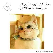 Pin On 3klya Nta3i