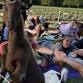 Goat Yoga at 311 Wine House and Beer Garden - St event image