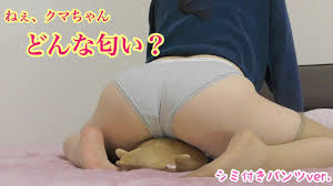facesitting] if you Put on Gray Panties and Rub your Pussy on a Stuffed  Animal, [japanese] Hentai 