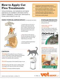 Http Www Vetdepot Com Images Flea Application Cat Infographic Png Cat Fleas Cat Fleas Treatment Flea Treatment