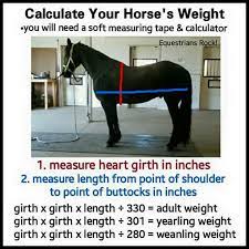 Calculate Horse Weight Horses Horse Weight Horse Life