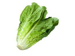 Salad buah belakangan telah menjadi salah satu kuliner yang cukup populer dijual dan mudah ditemukan. Keluarga Selada