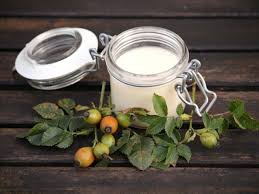 So kannst du die aloe vera creme haltbar machen. Korpercreme Fur Trockene Haut Selber Machen Servus