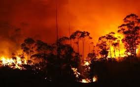 A conflagration can begin accidentally, be naturally caused (wildfire), or intentionally created (arson). Incendios Forestales Afectan A 5 000 Hectareas De Bosques En Ecuador