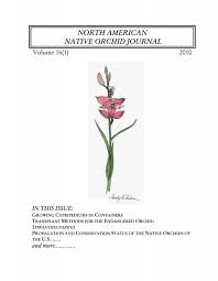 Image result for Eulophia stachyodes