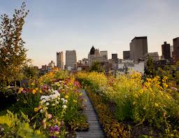 The Craziest Thing On 12 Nyc Rooftops Nyc Rooftop Rooftop Garden Rooftop