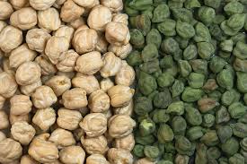 Image result for Cicer