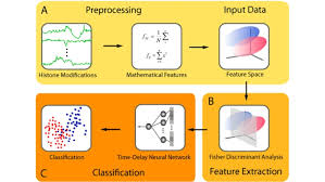 kai tan laboratory software childrens hospital of