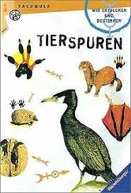 Wer im winter draussen unterwegs ist, hat gute chancen auf tierspuren im frischen schnee zu stossen. Wir Entdecken Und Bestimmen Tierspuren Alfred Leutscher Gunstig Kaufen Ebay