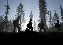 Busca millones de imágenes de personas caminando de alta calidad a precios muy económicos en el banco de imágenes 123rf. Personas Caminando Al Lado Bosque Arboles Bomberos Silueta Siluetas Servicio Humo Pxfuel
