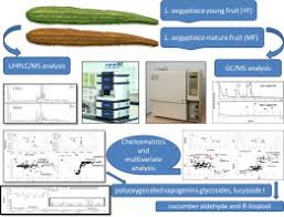 There is a disagreement over the correct name for this species. Mapping Metabolome Changes In Luffa Aegyptiaca Mill Fruits At Different Maturation Stages Via Ms Based Metabolomics And Chemometrics Sciencedirect