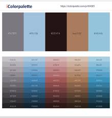 Btw, there are millions of colors out there, and can be so daunting as to which color and shade to pick. 74 Latest Color Schemes With Black And Light Blue Color Tone Combinations 2021 Icolorpalette
