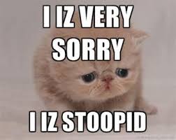 Pin By Animefreak61263 On Cute Cats Sorry Memes Im Sorry Meme Cute Memes