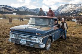 Image result for Laguna Blue 1964 Truck