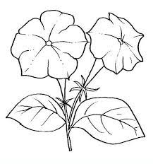 Pin On Drawings Of Flowers