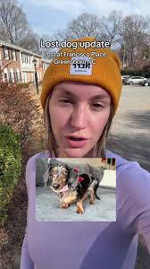 What Happened to Tarni Pumphrey Dog