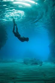 Surf And Skate L0stship Immersion By Eric Volto Source Underwater World Underwater Photos Water Photography