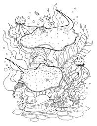 And lots of other underwater creatures! Pin On Coloring Pages