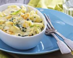 Recette De Gratin De Pates Aux Blettes Et Bechamel Legere Recette Recette Gratin Recette De Blettes Blette