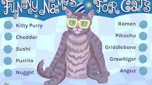 Here is a list of more than 400 cat names for male and female cats. 76 Funny Names For Cats