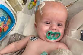 Miranda Bunch's Instagram, Twitter & Facebook