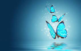 We have an extensive collection of amazing background images carefully chosen by our community. Blue Butterfly Desktop Wallpapers Top Free Blue Butterfly Desktop Backgrounds Wallpaperaccess