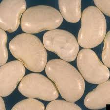 Drop beans into the water, and return to a full boil. Gardening 101 Lima Beans How To Grow Them And How To Cook Them Hubpages