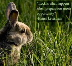 Goodluckanimalsymbols Good Luck Symbols Spirit Animal Meaning Animal Symbolism