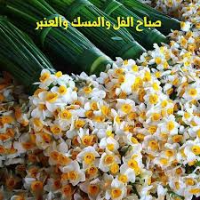 pin by nada z on صباح الخير vegetables snacks snack recipes