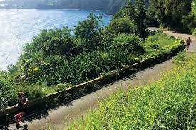 Individuals can create very flexible analytic models based on. Your 2018 Guide To Hawaii S Marathons Triathlons Swim Races And More Hawaii Magazine