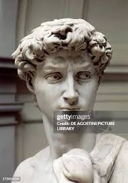 1,373 The David By Michelangelo Stock Photos, High-Res Pictures, and Images 