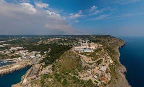 Image result for Leucas princei