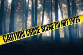 Virtual murder mystery games for 2. Top 10 Virtual Murder Mystery Games Mystery Cafe