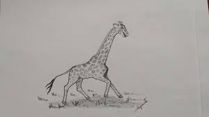 Se agregan miles de imágenes nuevas de alta calidad todos los días. Como Dibujar Una Jirafa Bien Facil Caricatura How To Draw An Easy Giraffe Cartoon Youtube