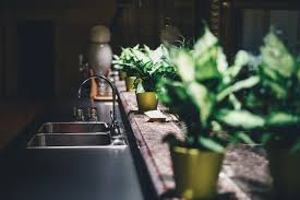 A small room or area used as a the kitchenette was located in a nook adjacent to the living space and next to an exit door leading to. Kitchen Synonyms And Related Words What Is Another Word For Kitchen Grammartop Com